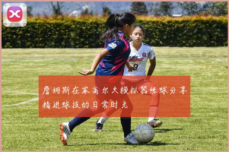 詹姆斯在家高尔夫模拟器练球分享精进球技的日常时光