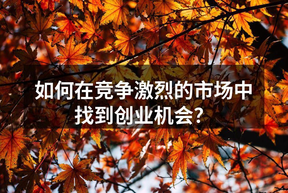 如何在竞争激烈的市场中找到创业机会？